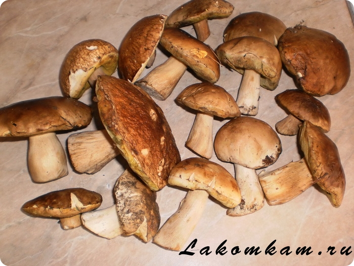 Белые грибы сушеные