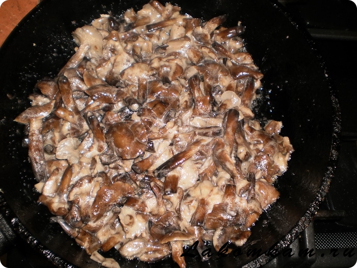 Открытый пирог с курицей и грибами на пиве