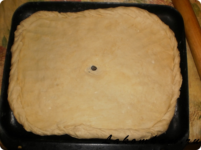 Пирог с капустой из теста на кефире