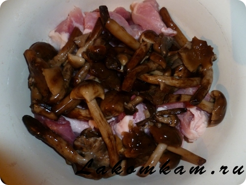 Блюдо из мяса Гуляш мясной с грибами