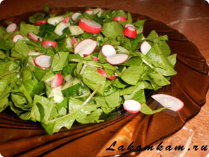 Салат из рукколы с огурцом и редисом